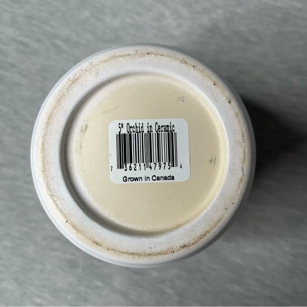 Target White 5” Round Ceramic Planter Pot